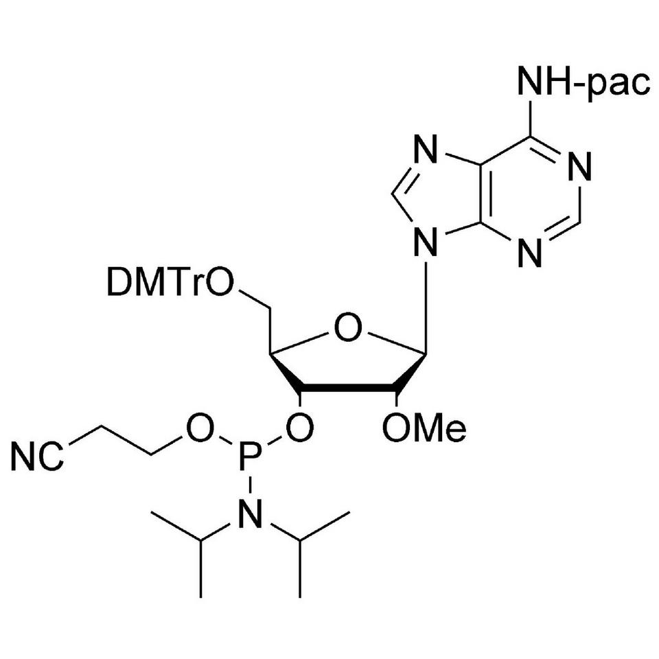 2'-OMe-A (Pac) CE-Phosphoramidite
